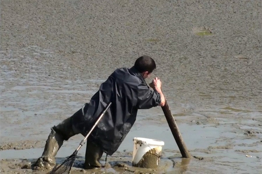 Le Jour des poissons