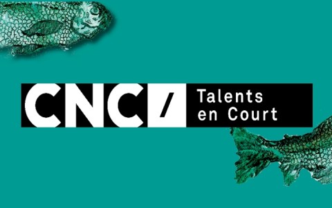 Talent en Court • Rencontre professionnelle/atelier